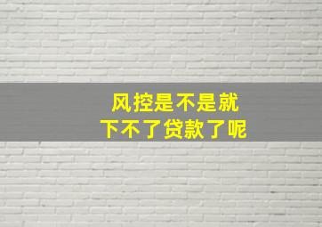 风控是不是就下不了贷款了呢