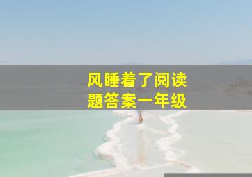 风睡着了阅读题答案一年级