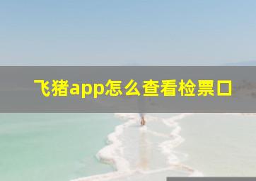 飞猪app怎么查看检票口