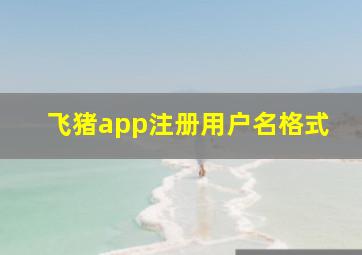 飞猪app注册用户名格式