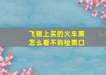 飞猪上买的火车票怎么看不到检票口