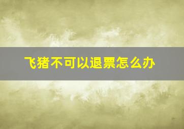 飞猪不可以退票怎么办