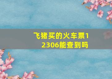 飞猪买的火车票12306能查到吗