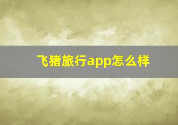 飞猪旅行app怎么样