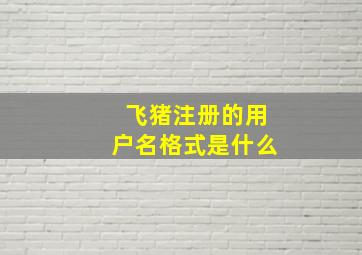 飞猪注册的用户名格式是什么