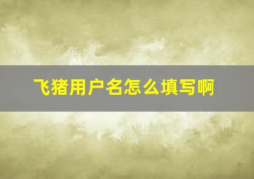 飞猪用户名怎么填写啊