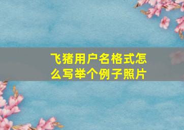 飞猪用户名格式怎么写举个例子照片