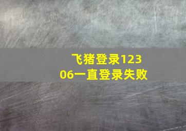 飞猪登录12306一直登录失败