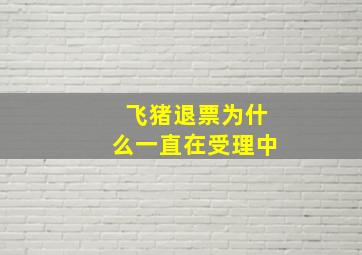 飞猪退票为什么一直在受理中