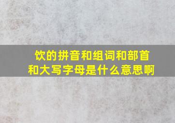 饮的拼音和组词和部首和大写字母是什么意思啊