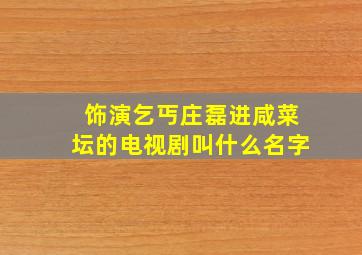 饰演乞丐庄磊进咸菜坛的电视剧叫什么名字