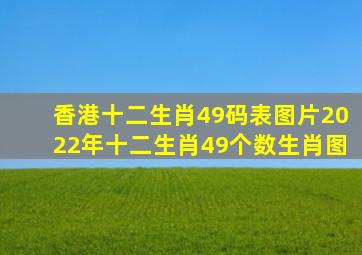 香港十二生肖49码表图片2022年十二生肖49个数生肖图