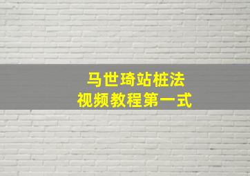 马世琦站桩法视频教程第一式