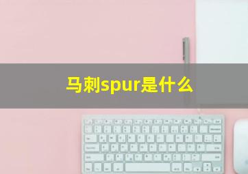 马刺spur是什么