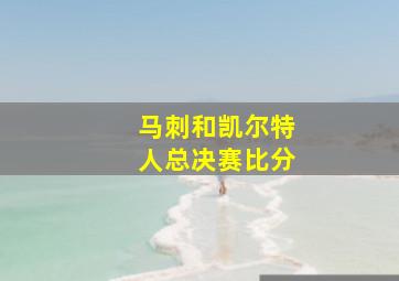 马刺和凯尔特人总决赛比分