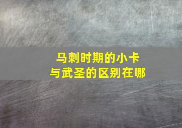 马刺时期的小卡与武圣的区别在哪