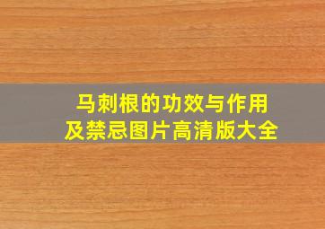 马刺根的功效与作用及禁忌图片高清版大全