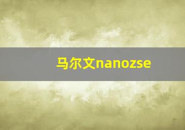 马尔文nanozse