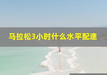 马拉松3小时什么水平配速