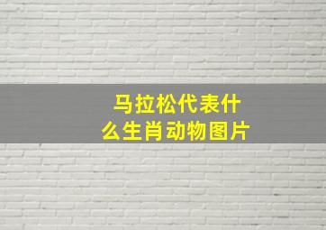 马拉松代表什么生肖动物图片