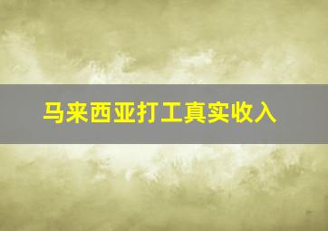 马来西亚打工真实收入