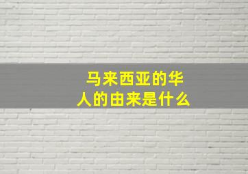 马来西亚的华人的由来是什么