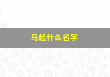 马起什么名字