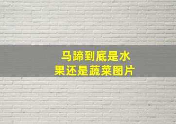 马蹄到底是水果还是蔬菜图片