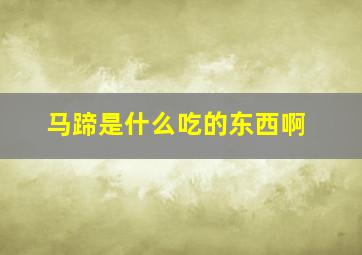 马蹄是什么吃的东西啊