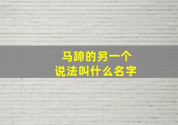 马蹄的另一个说法叫什么名字