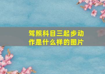 驾照科目三起步动作是什么样的图片