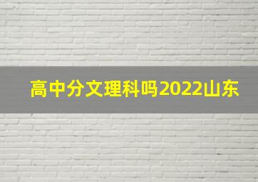 高中分文理科吗2022山东