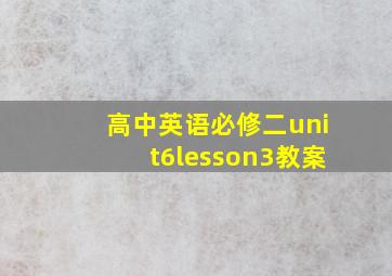 高中英语必修二unit6lesson3教案