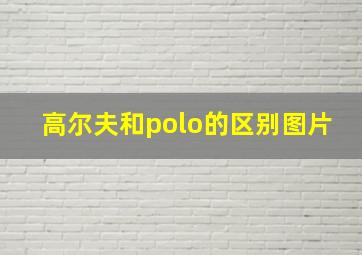 高尔夫和polo的区别图片