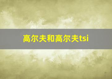 高尔夫和高尔夫tsi