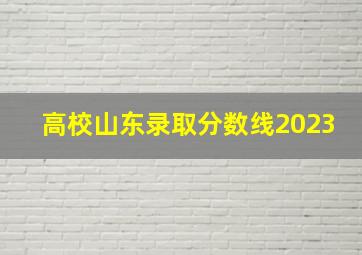 高校山东录取分数线2023