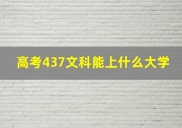 高考437文科能上什么大学