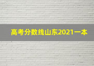 高考分数线山东2021一本