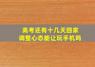 高考还有十几天回家调整心态能让玩手机吗