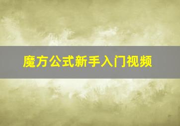 魔方公式新手入门视频