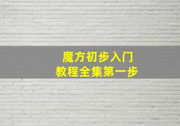 魔方初步入门教程全集第一步