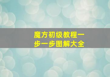 魔方初级教程一步一步图解大全