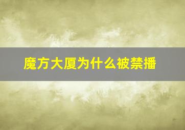 魔方大厦为什么被禁播