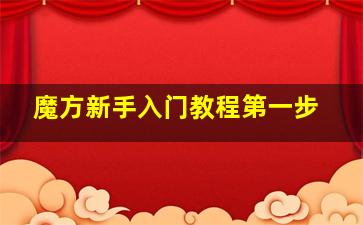 魔方新手入门教程第一步