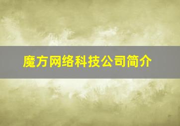 魔方网络科技公司简介