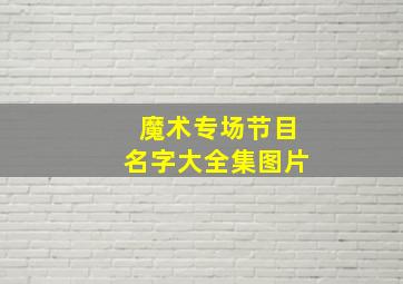 魔术专场节目名字大全集图片