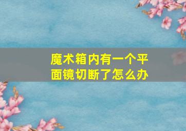 魔术箱内有一个平面镜切断了怎么办