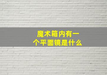 魔术箱内有一个平面镜是什么