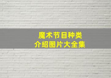 魔术节目种类介绍图片大全集