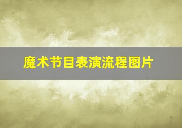 魔术节目表演流程图片